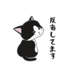 にゃんちょこりん【白黒ハチワレ猫】（個別スタンプ：4）