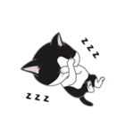 にゃんちょこりん【白黒ハチワレ猫】（個別スタンプ：7）