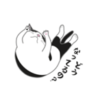 にゃんちょこりん【白黒ハチワレ猫】（個別スタンプ：8）