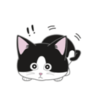 にゃんちょこりん【白黒ハチワレ猫】（個別スタンプ：11）