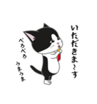 にゃんちょこりん【白黒ハチワレ猫】（個別スタンプ：13）