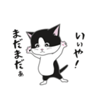 にゃんちょこりん【白黒ハチワレ猫】（個別スタンプ：15）
