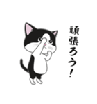 にゃんちょこりん【白黒ハチワレ猫】（個別スタンプ：16）