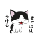 にゃんちょこりん【白黒ハチワレ猫】（個別スタンプ：19）