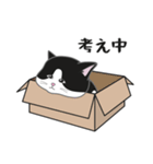 にゃんちょこりん【白黒ハチワレ猫】（個別スタンプ：21）