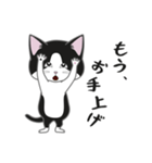 にゃんちょこりん【白黒ハチワレ猫】（個別スタンプ：24）