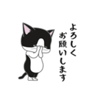 にゃんちょこりん【白黒ハチワレ猫】（個別スタンプ：25）
