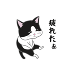にゃんちょこりん【白黒ハチワレ猫】（個別スタンプ：28）
