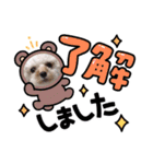 愛犬エイト♡No.4（個別スタンプ：3）