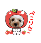 愛犬エイト♡No.4（個別スタンプ：7）