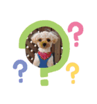 愛犬エイト♡No.4（個別スタンプ：8）