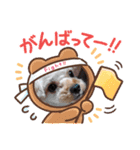 愛犬エイト♡No.4（個別スタンプ：9）