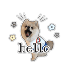 るぶくんのすたんぷ（個別スタンプ：1）