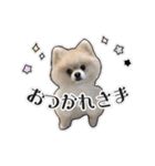 るぶくんのすたんぷ（個別スタンプ：2）