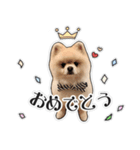 るぶくんのすたんぷ（個別スタンプ：5）