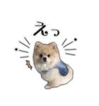るぶくんのすたんぷ（個別スタンプ：6）