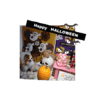 ぱぴぱぴパピヨン39（個別スタンプ：24）