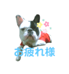 オイルのスタンプ（個別スタンプ：1）