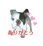 オイルのスタンプ（個別スタンプ：2）