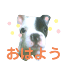 オイルのスタンプ（個別スタンプ：4）