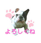 オイルのスタンプ（個別スタンプ：5）