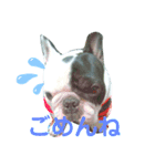 オイルのスタンプ（個別スタンプ：6）
