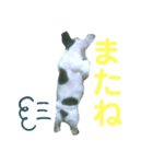 オイルのスタンプ（個別スタンプ：7）