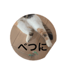もこの本音が出ちゃうスタンプ（個別スタンプ：2）