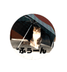 もこの本音が出ちゃうスタンプ（個別スタンプ：5）