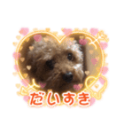 かわいすぎーー！！わらわら（個別スタンプ：3）