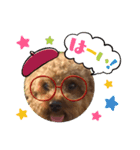 かわいすぎーー！！わらわら（個別スタンプ：5）