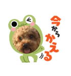 かわいすぎーー！！わらわら（個別スタンプ：8）