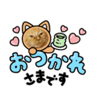 トラとの幸せライフ4“（個別スタンプ：4）