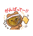 トラとの幸せライフ4“（個別スタンプ：11）