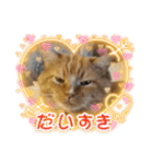 トラとの幸せライフ4“（個別スタンプ：14）