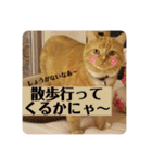 トラとの幸せライフ4“（個別スタンプ：32）