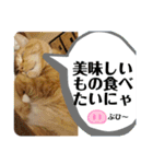 トラとの幸せライフ4“（個別スタンプ：35）