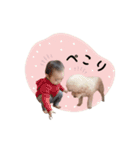 HARUMA ③（個別スタンプ：12）