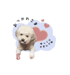 HARUMA ③（個別スタンプ：18）