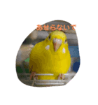 やえこのおもいつきことば（個別スタンプ：4）