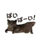 ムロとウリ④（個別スタンプ：5）