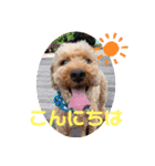 太陽くんと海里くん時々みっちゃん（個別スタンプ：2）