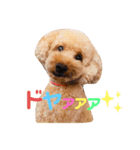 太陽くんと海里くん時々みっちゃん（個別スタンプ：3）