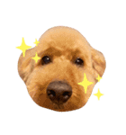 太陽くんと海里くん時々みっちゃん（個別スタンプ：5）
