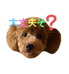 太陽くんと海里くん時々みっちゃん（個別スタンプ：13）
