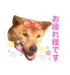 太陽くんと海里くん時々みっちゃん（個別スタンプ：15）