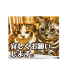 華麗なる我が家のニャンコ様（個別スタンプ：30）