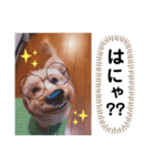 トイプードルのレオ②（個別スタンプ：7）