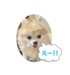 めるろーず2（個別スタンプ：5）