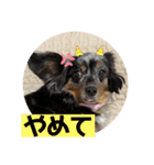 めるろーず2（個別スタンプ：9）